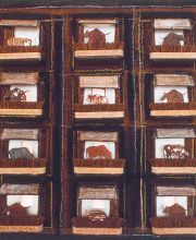 animalia 20